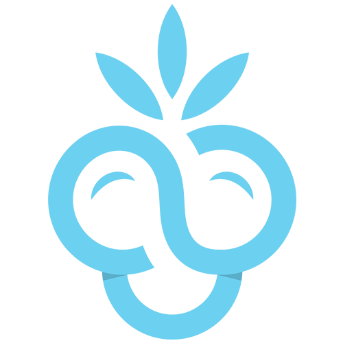FlowBerri Logo